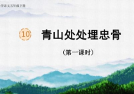 青山处处埋忠骨ppt,抗美援朝中的父子情深与革命情怀