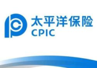 太平洋人寿保险股份有限公司,稳健发展，服务卓越的保险行业领军者